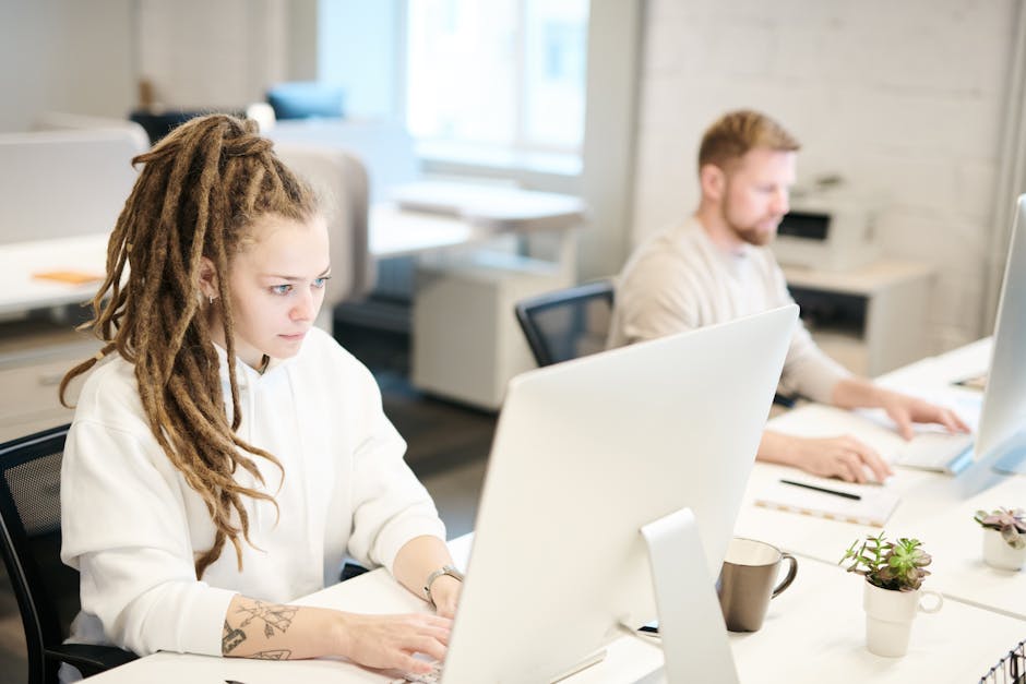 Изображение Портфолио